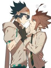 猫咪海外永久官网入口